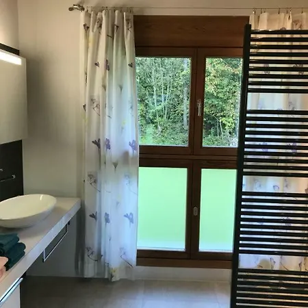 Carrera - Mit Traumgarten