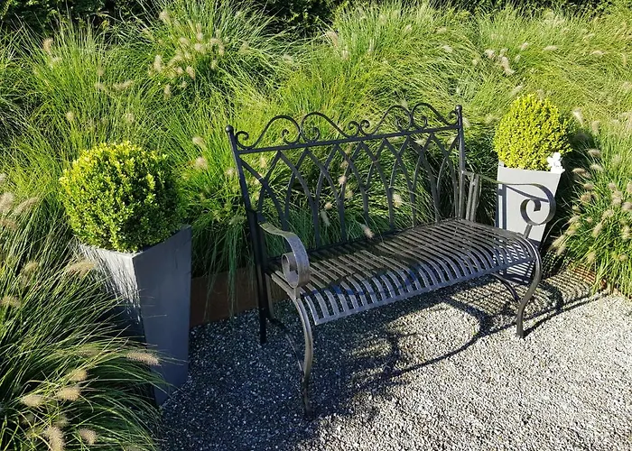 Carrera - Mit Traumgarten